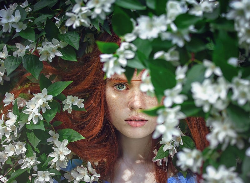 Whimsical Florals